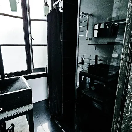 Joyjoyjoy The Black Beauty Ecolicious In A Canal House With French Balcony With View On The Canals 4*