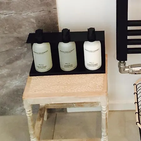 Penzion Joyjoyjoy The Black Beauty Ecolicious In A Canal House With French Balcony With View On The Canals