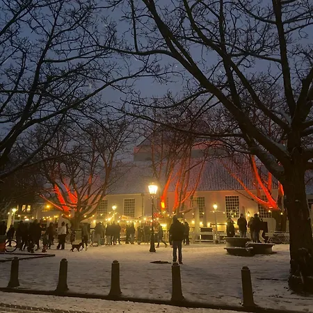 Joyjoyjoy The Black Beauty Ecolicious In A Canal House With French Balcony With View On The Canals Amsterdam