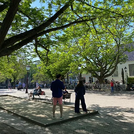 Penzion Joyjoyjoy The Black Beauty Ecolicious In A Canal House With French Balcony With View On The Canals