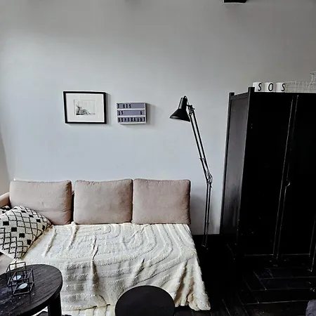 Joyjoyjoy The Black Beauty Ecolicious In A Canal House With French Balcony With View On The Canals 4* أمستردام