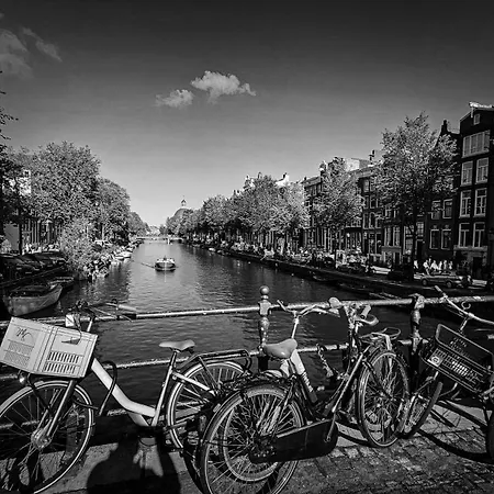 게스트하우스 Joyjoyjoy The Black Beauty Ecolicious In A Canal House With French Balcony With View On The Canals 4*