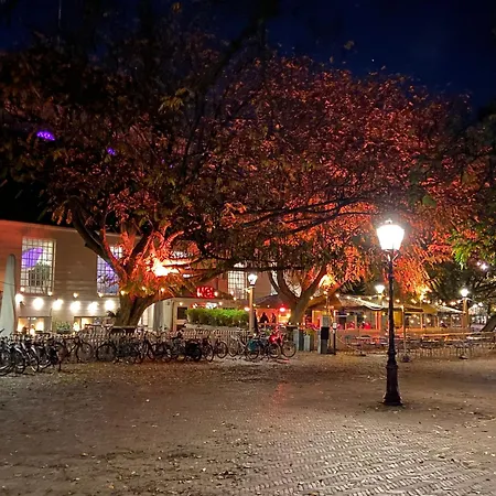 Joyjoyjoy The Black Beauty Ecolicious In A Canal House With French Balcony With View On The Canals 4* أمستردام
