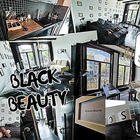 Joyjoyjoy The Black Beauty Ecolicious In A Canal House With French Balcony With View On The Canals Guest house Amsterdam
