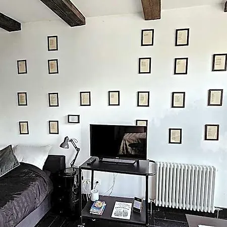Joyjoyjoy The Black Beauty Ecolicious In A Canal House With French Balcony With View On The Canals Guest house 4*
