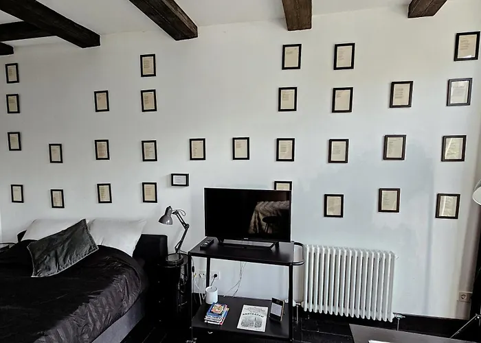 Joyjoyjoy The Black Beauty Ecolicious In A Canal House With French Balcony With View On The Canals Pensjonat Amsterdam