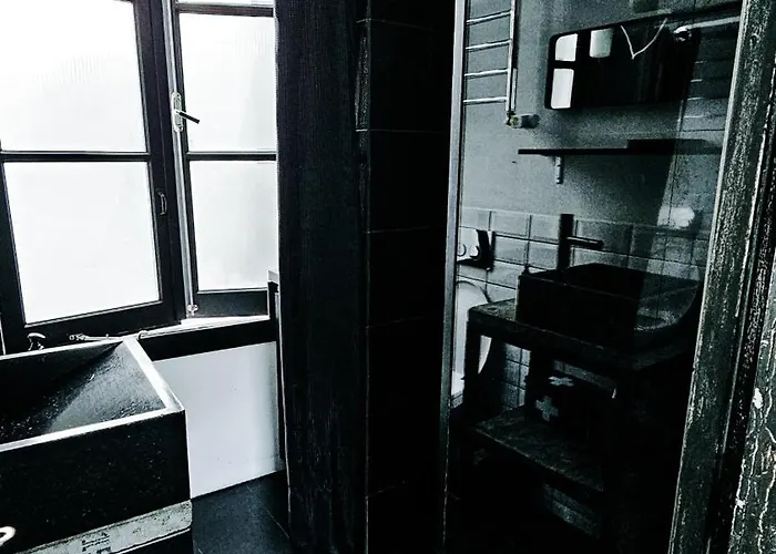 Joyjoyjoy The Black Beauty Ecolicious In A Canal House With French Balcony With View On The Canals 4*