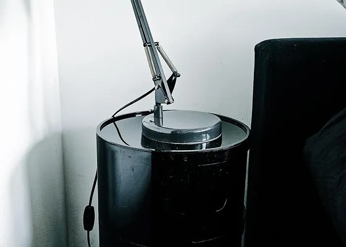 Joyjoyjoy The Black Beauty Ecolicious In A Canal House With French Balcony With View On The Canals