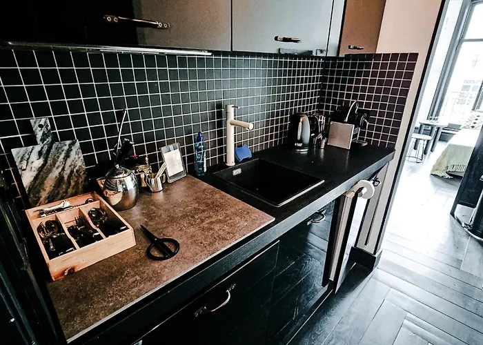 Pensjonat Joyjoyjoy The Black Beauty Ecolicious In A Canal House With French Balcony With View On The Canals