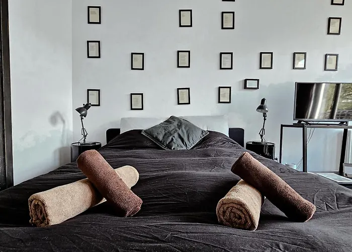 Pensjonat Joyjoyjoy The Black Beauty Ecolicious In A Canal House With French Balcony With View On The Canals 4*