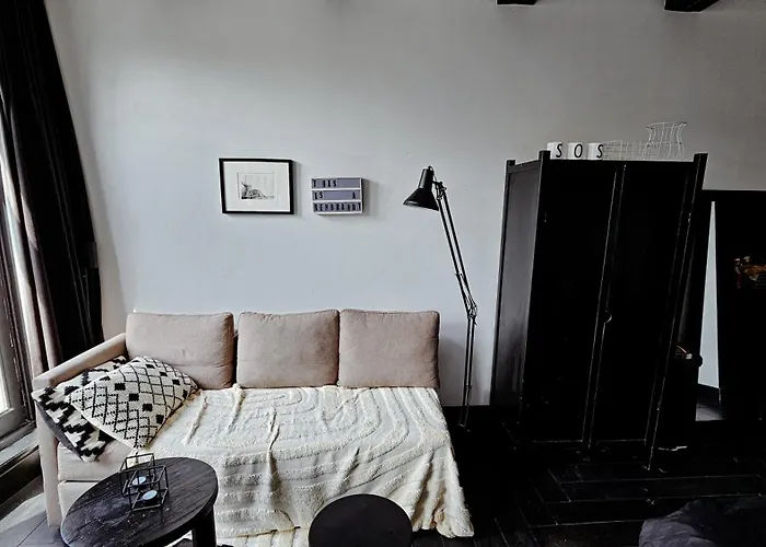 Joyjoyjoy The Black Beauty Ecolicious In A Canal House With French Balcony With View On The Canals 4* Amsterdam