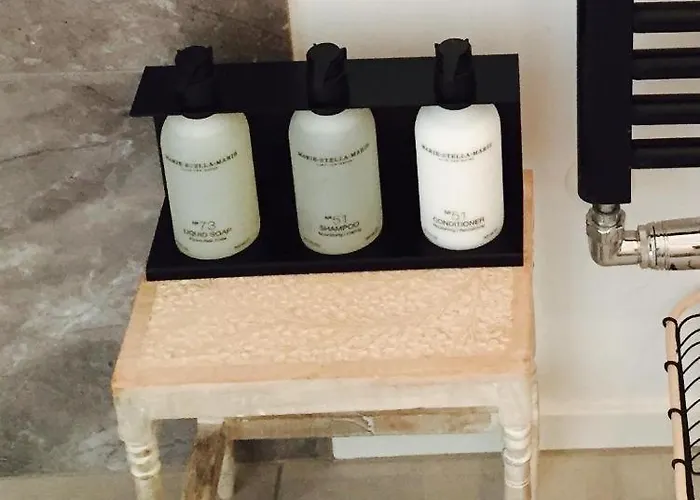 Pensjonat Joyjoyjoy The Black Beauty Ecolicious In A Canal House With French Balcony With View On The Canals