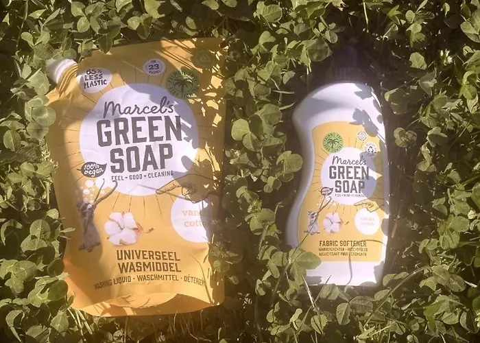 Joyjoyjoy The Black Beauty Ecolicious In A Canal House With French Balcony With View On The Canals Pensjonat 4*