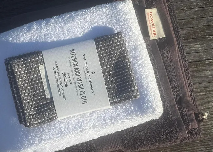 Joyjoyjoy The Black Beauty Ecolicious In A Canal House With French Balcony With View On The Canals Pensjonat Amsterdam