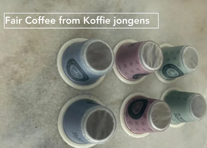 Joyjoyjoy The Black Beauty Ecolicious In A Canal House With French Balcony With View On The Canals Amsterdam