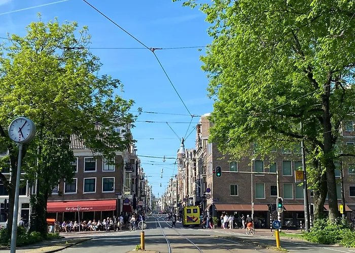 Joyjoyjoy The Black Beauty Ecolicious In A Canal House With French Balcony With View On The Canals