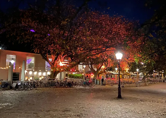 Joyjoyjoy The Black Beauty Ecolicious In A Canal House With French Balcony With View On The Canals 4* Amsterdam