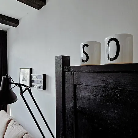 Joyjoyjoy The Black Beauty Ecolicious In A Canal House With French Balcony With View On The Canals