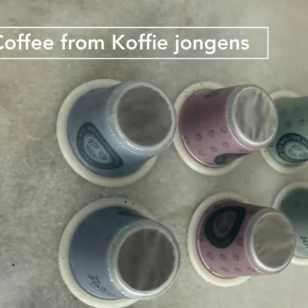 Joyjoyjoy The Black Beauty Ecolicious In A Canal House With French Balcony With View On The Canals Amsterdam